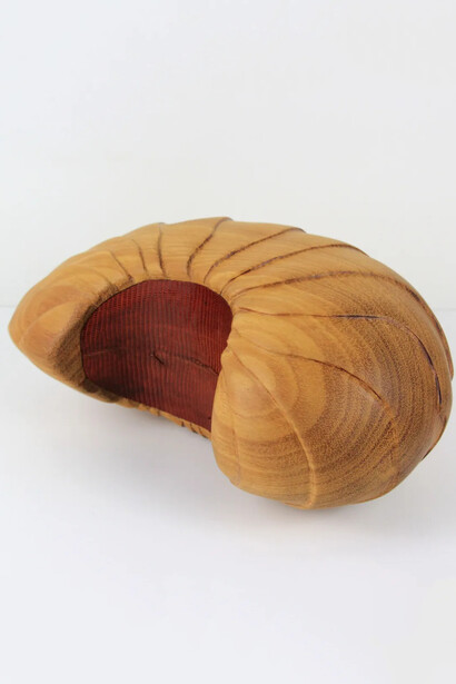 Lélia Demoisy, Carapace n° 4 (détail), 2024. Avec l'aimable autorisation de la Galerie By Lara Sedbon