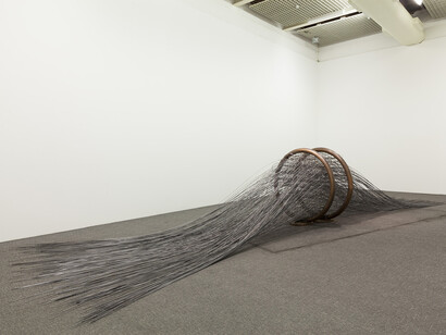 senzala, 2011,  steel, copper and iron, 165 x 400 x 1200 cm, photo: Isabella Matheus  
