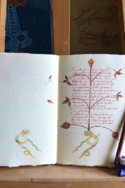  Il manoscritto perduto