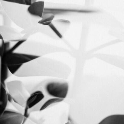 Veramente nella pienezza di una tregua