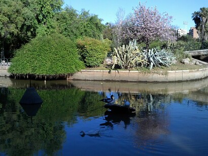 Isla artificial frecuentada por patos y otras aves en el parque de los Príncipes de Sevilla, España