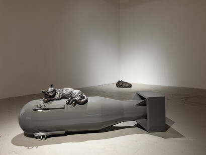 Brandon Vickerd, Phantom limb, exhibition view. Courtesy of Art Mûr