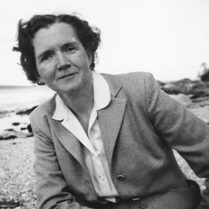 Rachel Carson, contribuì alla nascita del movimento per mettere al bando il DDT e le altre sostanze chimiche delle quali si cominciavano a conoscere gli effetti cancerogeni