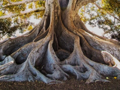 La resiliencia es un proceso de toma de conciencia real sobre nuestras necesidades, capacidades y limitaciones para afrontar un problema