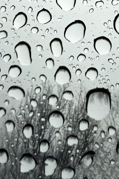 Hay que podar las ramas de esta tristeza absurda… habrá que hacerlo ahora que ha comenzado julio y el invierno se ufana de su estridente frío congelando recuerdos que trato de olvidar