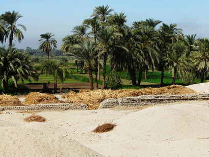 "Dinastía de Amarna"  es un periodo específico dentro de la Dinastía XVIII del Reino Nuevo en el Antiguo Egipto, caracterizado por una revolución religiosa, artística y política llevada a cabo por el faraón Akenatón. Amarna - barrio residencial norte, Egipto