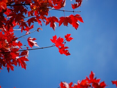 Autunno, è il momento di un nuovo cambio di stagione
