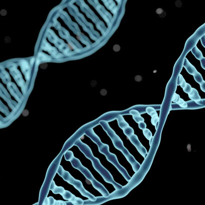 DNA analysis shows that multiethnicity is within us