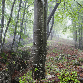 Federico Donato, Cento #5, 2014, fotografia digitale su carta cotone, 42 x 59,4 cm