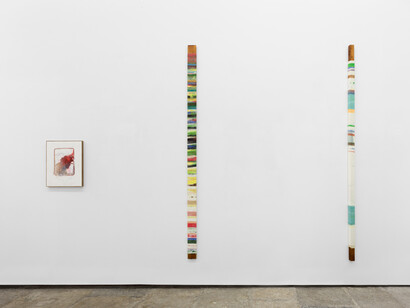 Exhibition view, Turvo, Rui Horta Pereira, Photo: Bruno Lopes. Image courtesy of the artist and 3+1 Arte Contemporânea, Lisbon