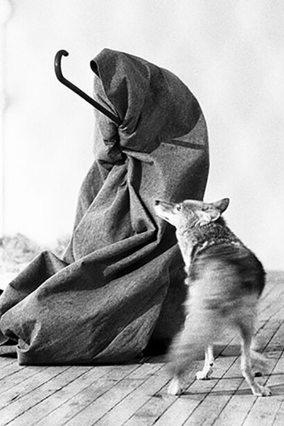 Joseph Beuys, Coyote