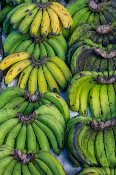 Zé Pedro saborea bananas, tiene mala visión pero excelente olfato