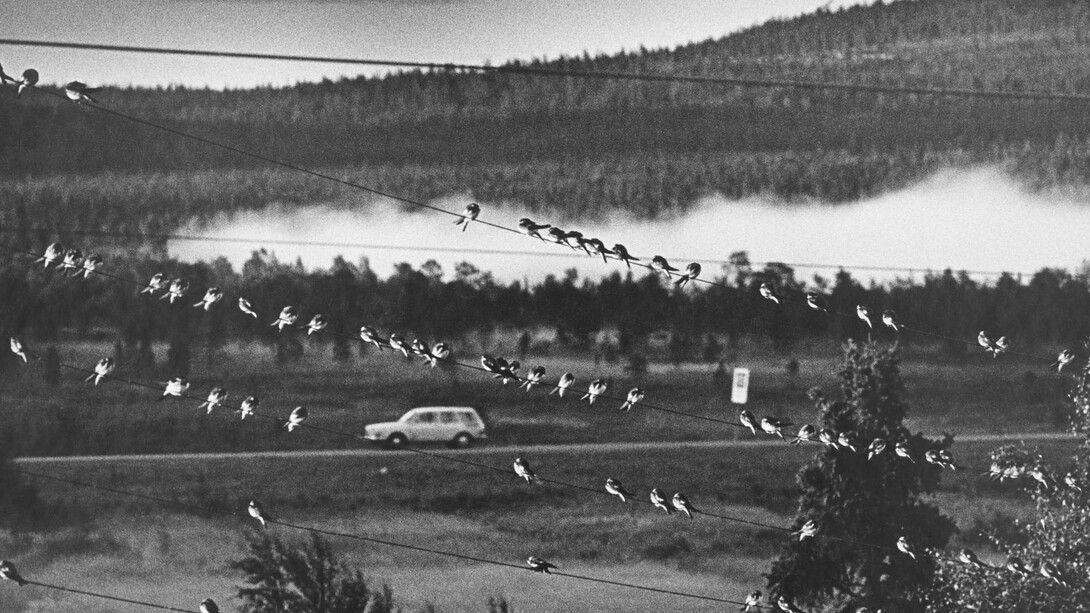 Finnish Everyday Life. Courtesy of The Finnish Museum of Photography