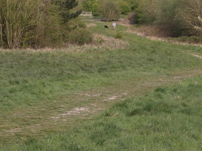 Berwick Glades is an open area bordered with scrub and woodland © Gehan de Silva Wijeyeratne