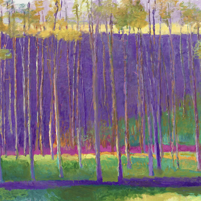 Wolf Kahn, Tall Pines, 1999, Oil on canvas, 68 x 84 inches, 172.7 x 213.4 cm. Signed: "W Kahn" (lower left)  