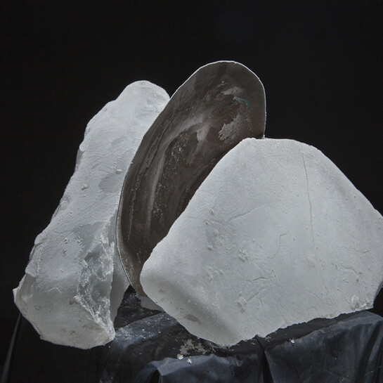 Federica Landi, Shell, 2017, stampa fine art su carta cotone, 70x100 cm

