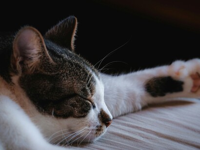 È una risposta al ritmo frenetico della società contemporanea, un invito a vivere con intenzione e consapevolezza