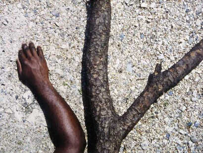 Barthélémy Toguo, Une autre vie (Another life), 1993–2023. Courtesy of Stevenson 