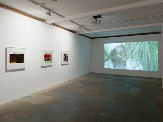 Markus Selg, La Vague d'Esprit, 2013, Vilma Gold, London, Installation View, Courtesy Vilma Gold, London. Photo: Lewis Ronald