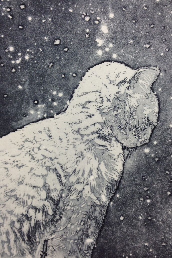 Snow Cat by Camilla Fanning