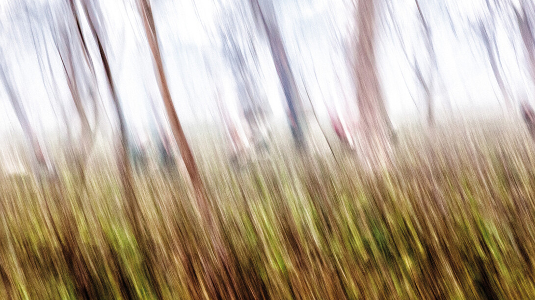 Paolo Sollazzo. Courtesy of Gallerja