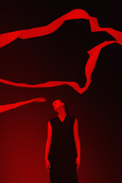 Paul Cupido, Kachō fūgetsu 花鳥風月 flower, bird, wind, moon. Courtesy of The Photographers Gallery 