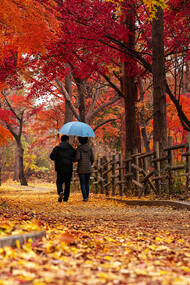 Mis horas preferidas para caminar son las de la mañana y cuando regreso a casa al atardecer