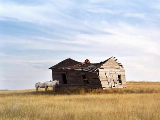 Richard Renaldi, Sumatra, Montana, 2009