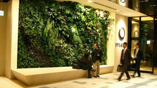 Omote Sando Gyre, Patrick Blanc. Foto di Pascal Héni