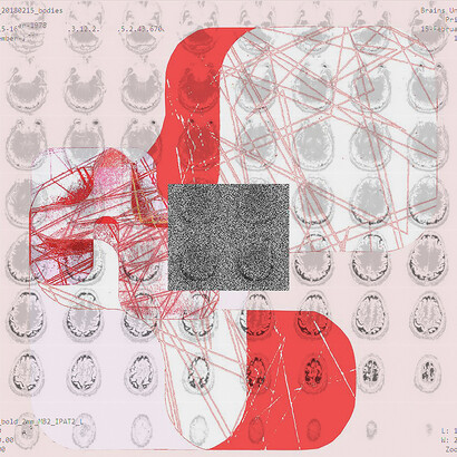 BRAIN NETWORKS (2019)