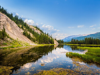 Paisaje del parque nacional y reserva Denali, Alaska. EE. UU.