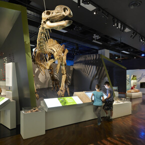 600 million years, exhibition view. Courtesy of Melbourne Museum