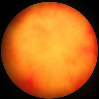 Futura. Courtesy of Urban Spree