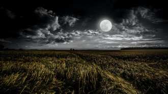 La gran mayoría de la gente deja de oír la música de la vida, para lidiar con preguntas profundamente inútiles