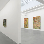 Sam Falls, exhibition view. Courtesy of Galerie Eva Presenhuber