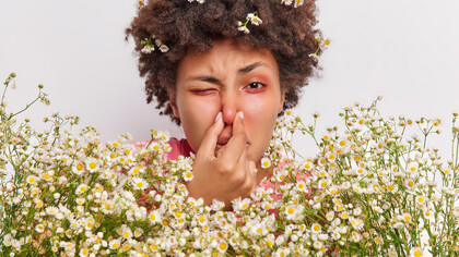A woman surrounded by daisies, experiencing an allergic reaction while smelling the scent of the flowers