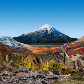 Justine Blau, The Circumference of the Cumanan Cactus, 2010, © the artist, courtesy of Huxley-Parlour Gallery and Osborne Samuel