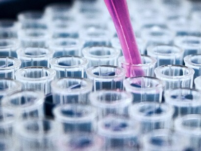 La I+D+I debe ser una de las prioridades de los responsables políticos