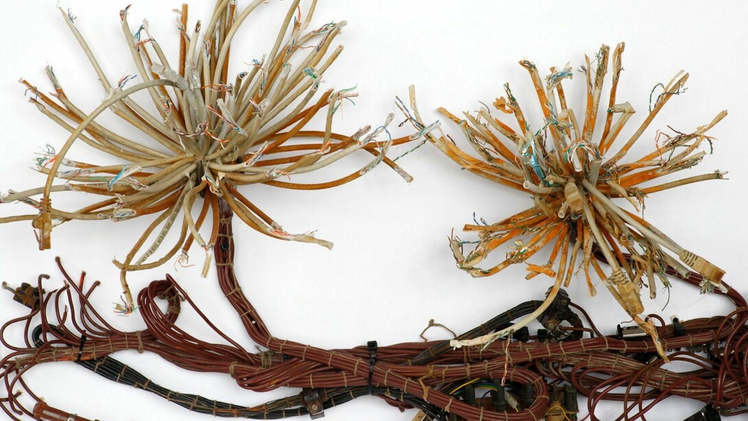 Herbario plate, Krištof Kintera, Postnaturalia Herbario Plate, 2016, mixed media 103 x 73 x 5 cm. Courtesy of Collezione Maramotti