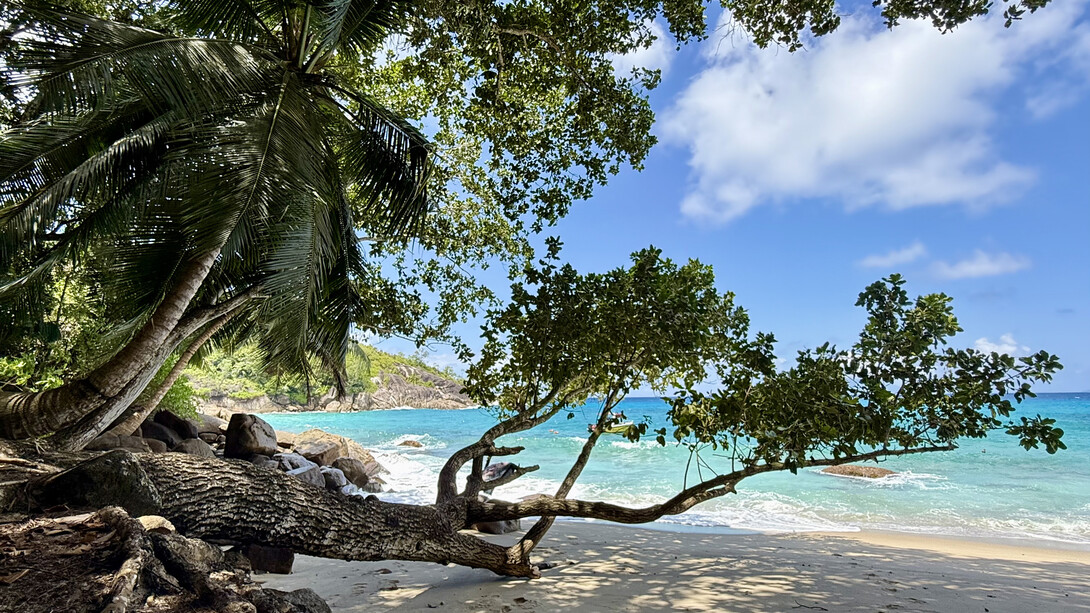 Hilton Seychelles Northolme Resort & Spa, Beau Vallon, Mahé, Seychelles