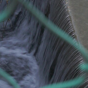 Paolo Guidotti Culture Center