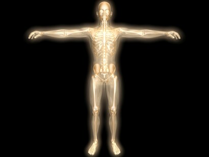 El cuerpo humano