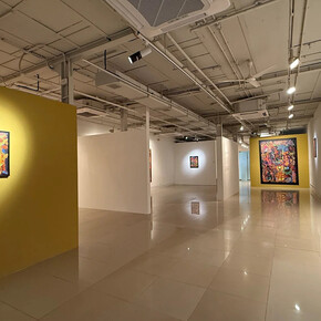 Anirban Mitra, I dissect therefore I am, exhibition view. Courtesy of Sakshi Gallery 
