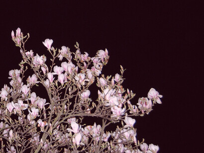 Mark Garry, Nightflight I, 2014; Lambda print mounted on smooth laminate