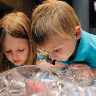Gems & Minerals. Courtesy of Denver Museum of Nature & Science