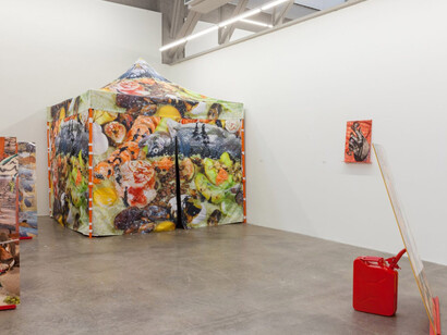 Sheida Soleimani. Courtesy of Atlanta Contemporary