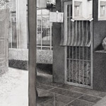 Tobias Nussbaumer. Courtesy of Museum Franz Gertsch