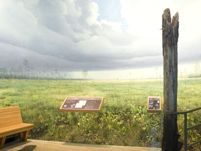 Waterways & Wildlife. Courtesy of Florida Museum of Natural History