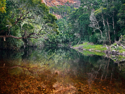 Deep colours along the Grootrivier, Nature’s Valley, photographed by Obie Oberholzer