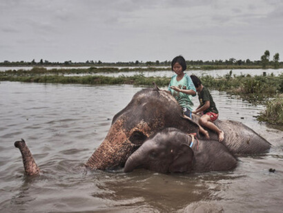 Poulomi Basu. 'Holding Tight'